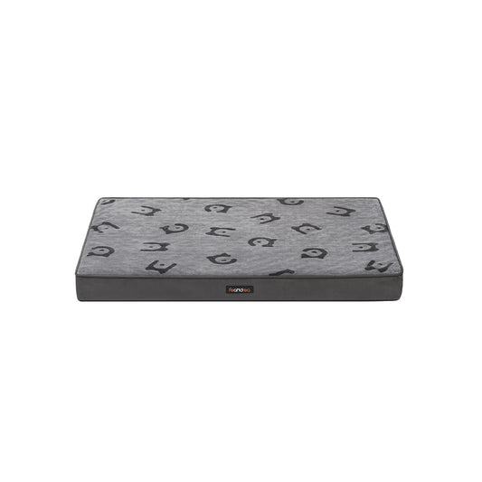 PGW242G01