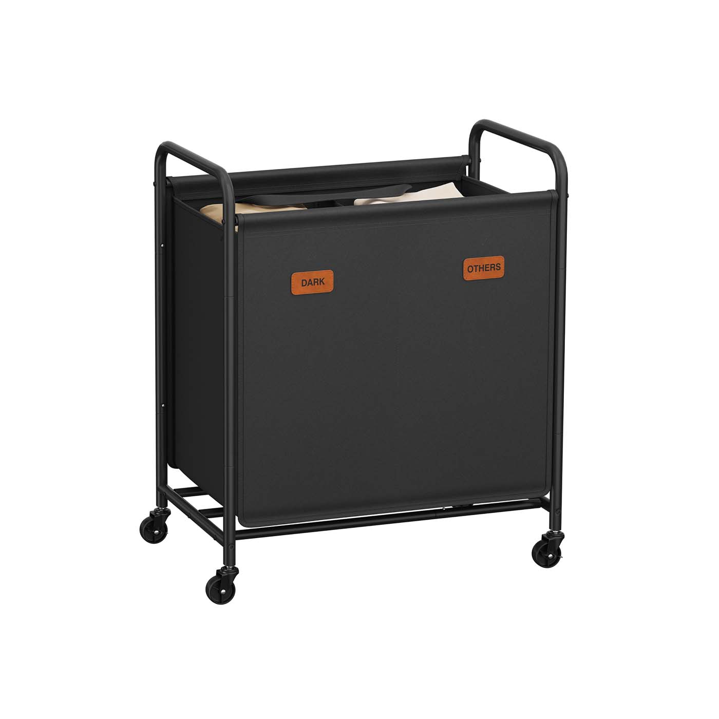 RLS210B01